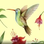 🌺🐦 El mito del colibrí: Descubre la verdad detrás de esta fascinante criatura! 🌿📖