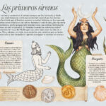 🧜‍♀️ Sirenas: Mitos y Leyendas que te fascinarán 🌊